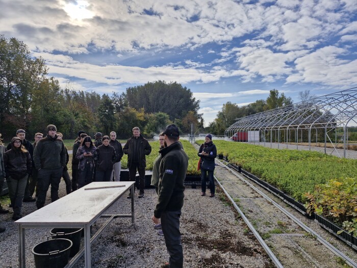 Burkolt gyökerű erdészeti csemete termesztési workshop diákoknak